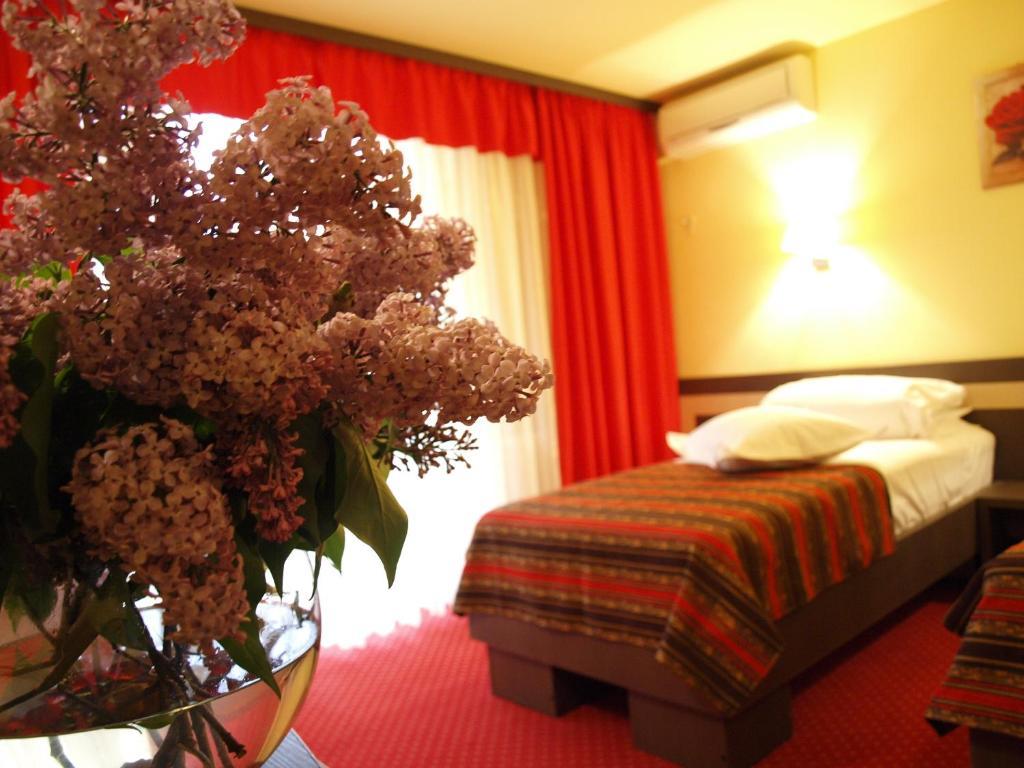 Hotel Dana Amara Room photo